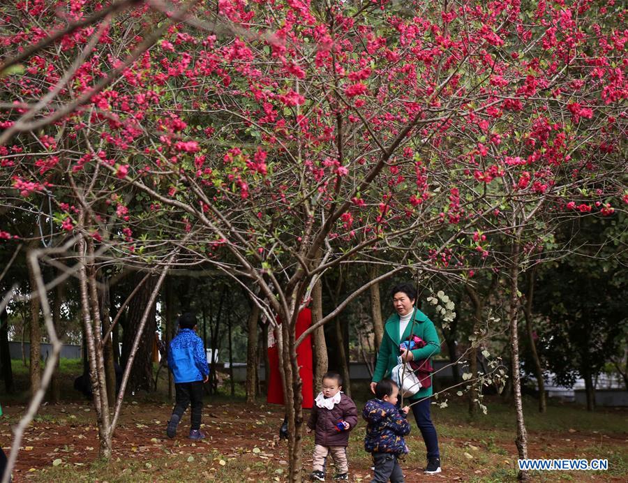#CHINA-SPRING-FLOWERS (CN)
