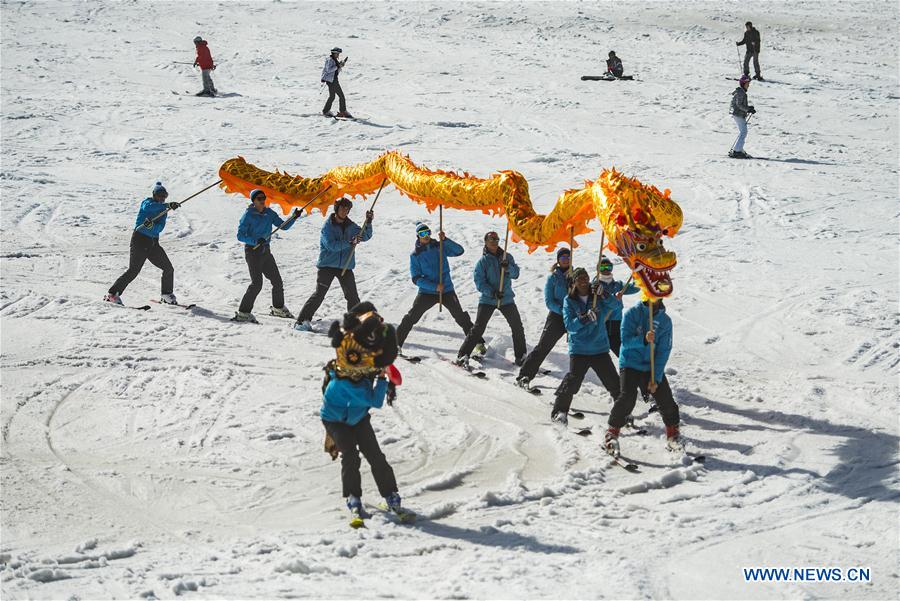 (SP)SLOVENIA-KRANJSKA GORA-CHINESE GRAGON
