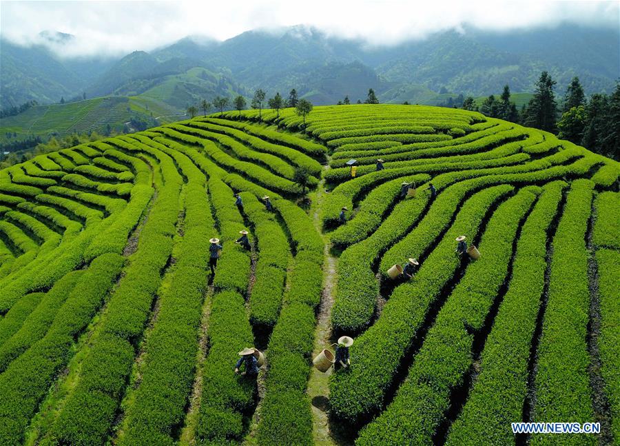 Xinhua Headlines: Technology counselors aid poverty alleviation 