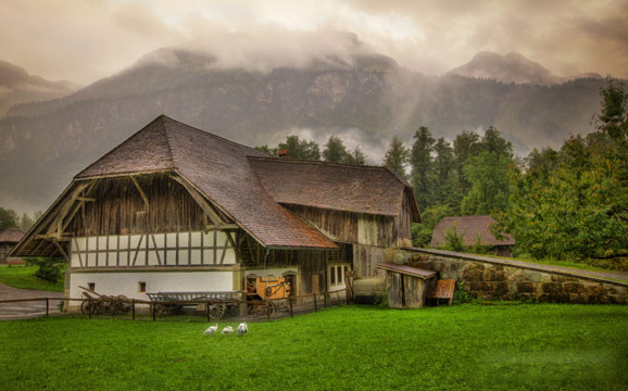 強調(diào)&ldquo;美麗家園&rdquo;　新農(nóng)村建設(shè)邁出新步伐