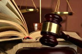 抓害群之馬，助金融改革一臂之力