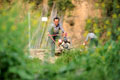 我國農(nóng)村土地流轉(zhuǎn)實(shí)踐試點(diǎn)工作綜述