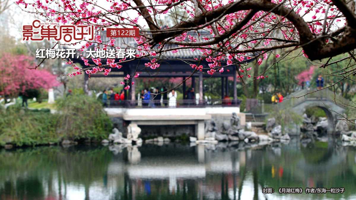 【影巢周刊】紅梅花開，大地送春來