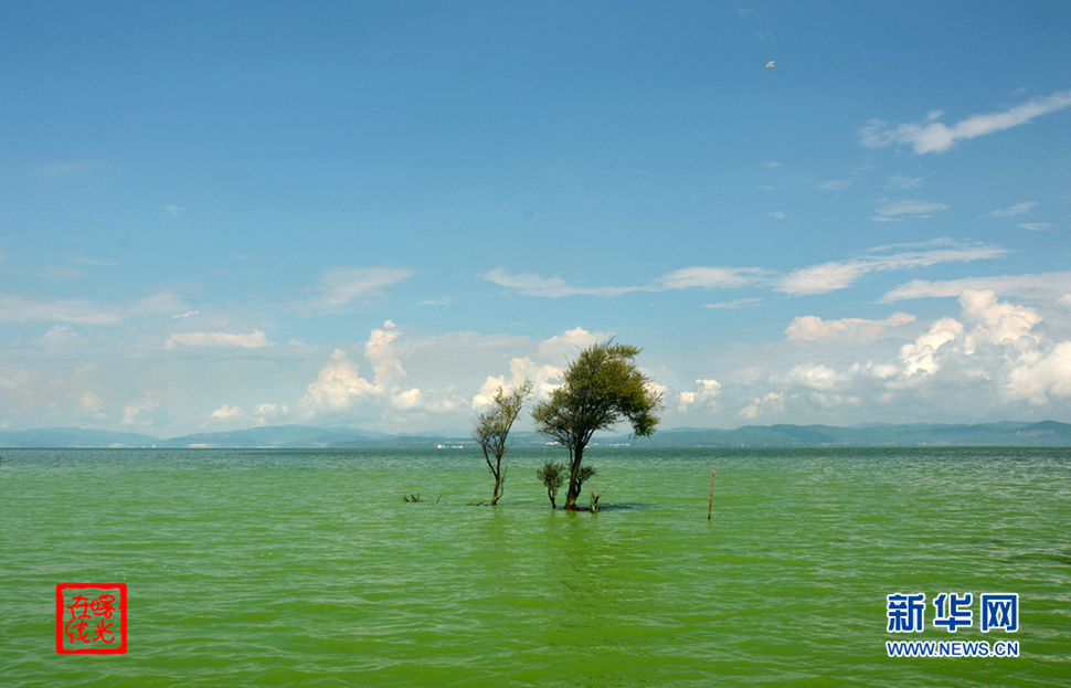 陽光昆明，爽爽的春城