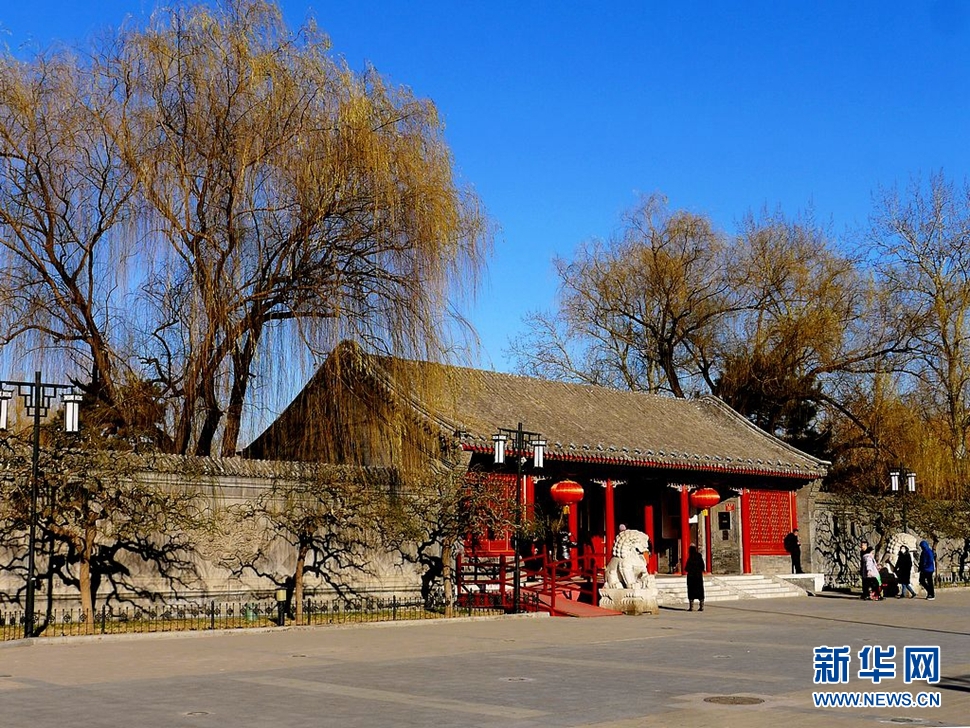 冬至，漫步大觀園