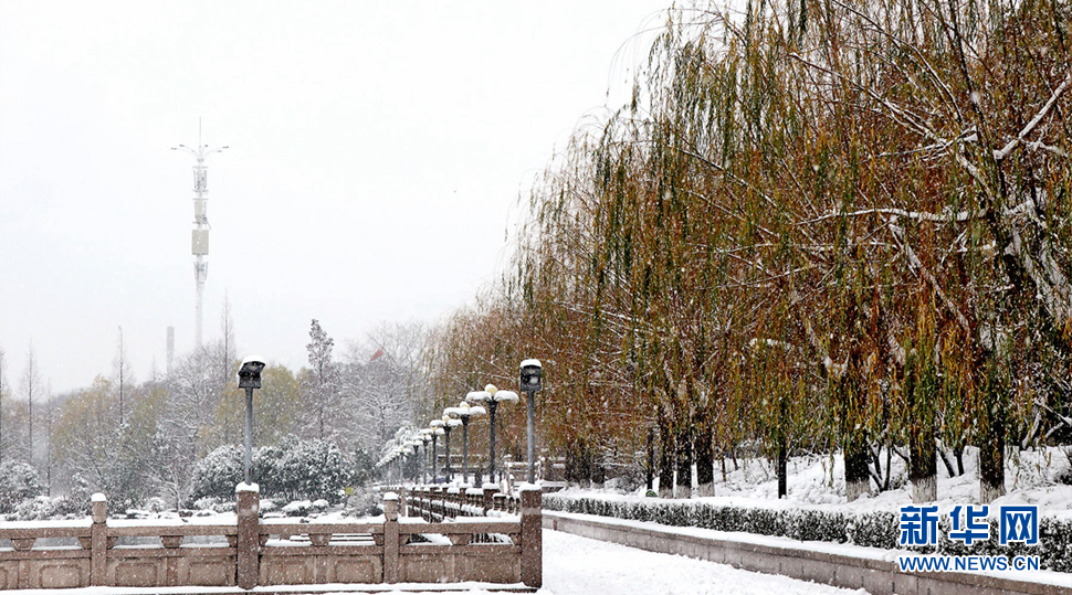 一夜變“雪城”