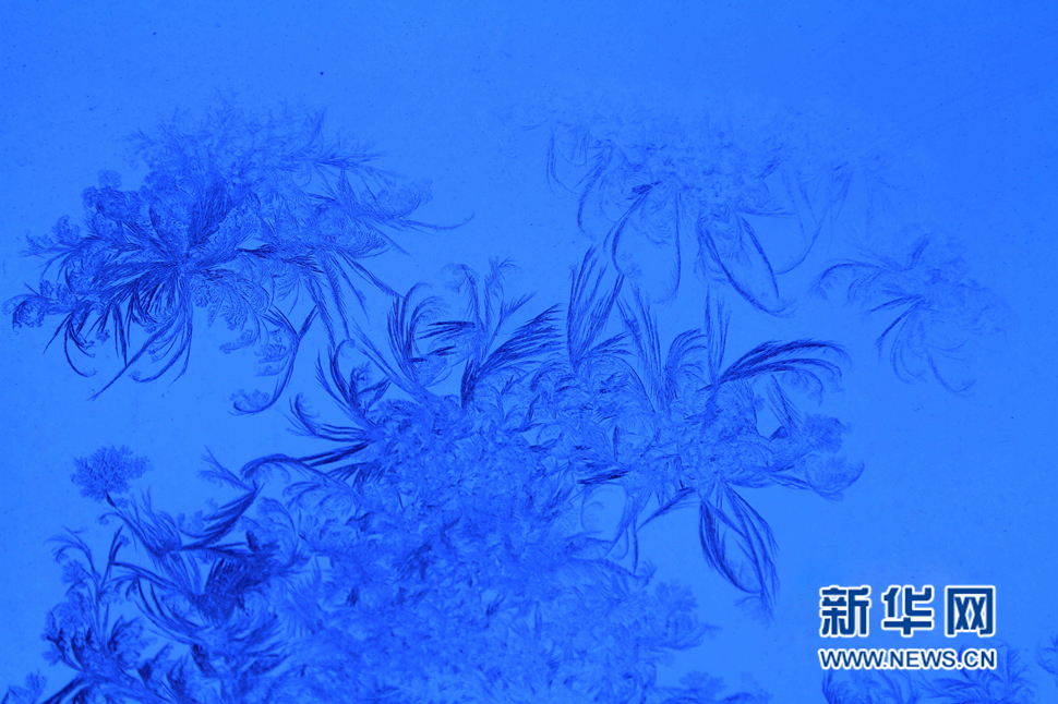 忽如一夜寒冬來，千家萬戶窗花開