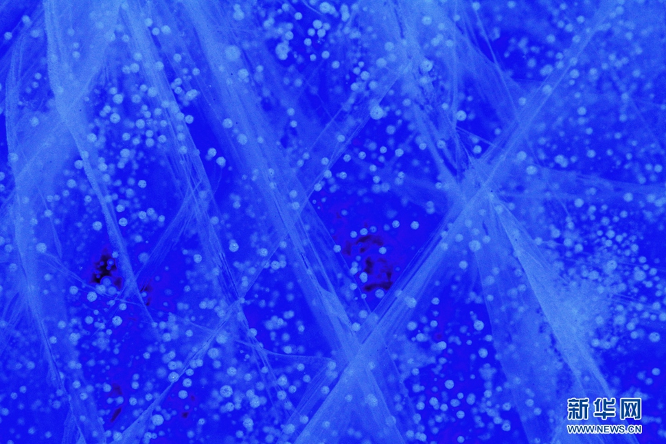 氣泡冰亮晶晶，藍(lán)精靈賽繁星