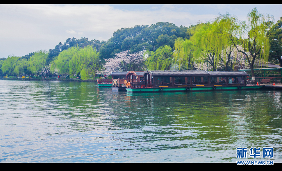 聽(tīng)風(fēng)西湖柳，聞香龍井茶