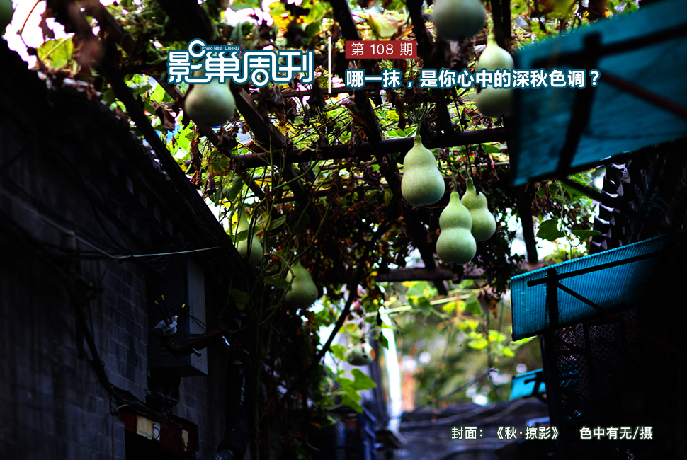 秋·掠影