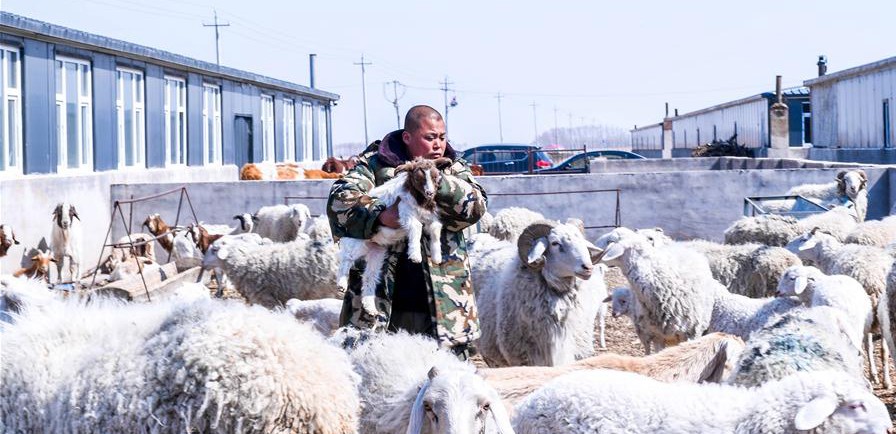 易地搬遷讓村民&ldquo;住得好、能致富&rdquo;