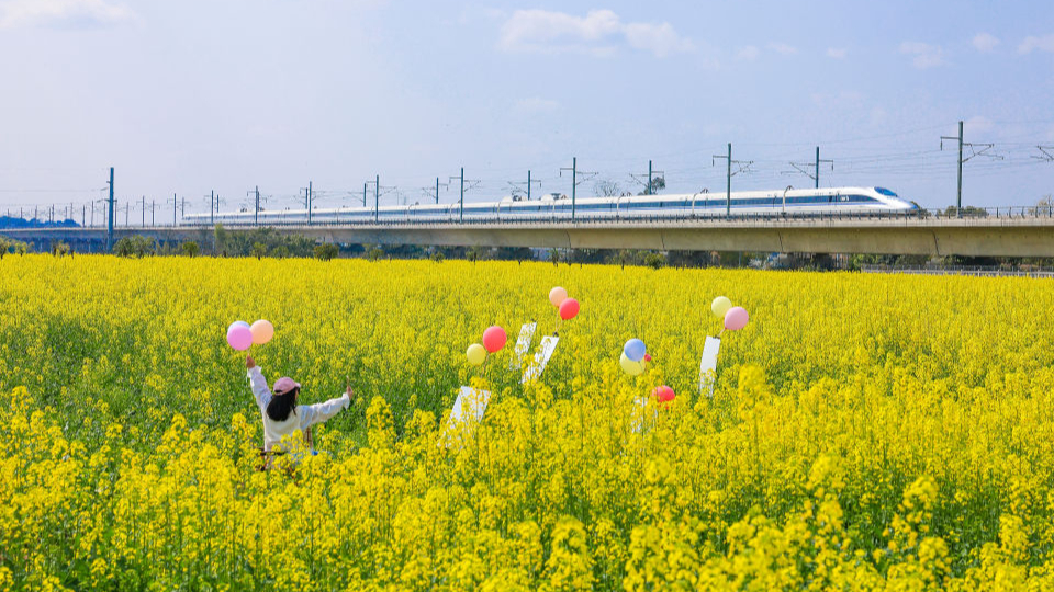 寫在“十五五”規(guī)劃綱要啟動實施之際