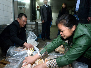江西宰殺、冷凍積壓禽肉 緩解H7N9禽流感影響