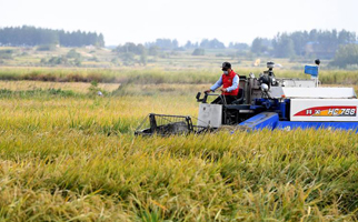 40年，小崗人的18個(gè)&ldquo;第一次&rdquo;