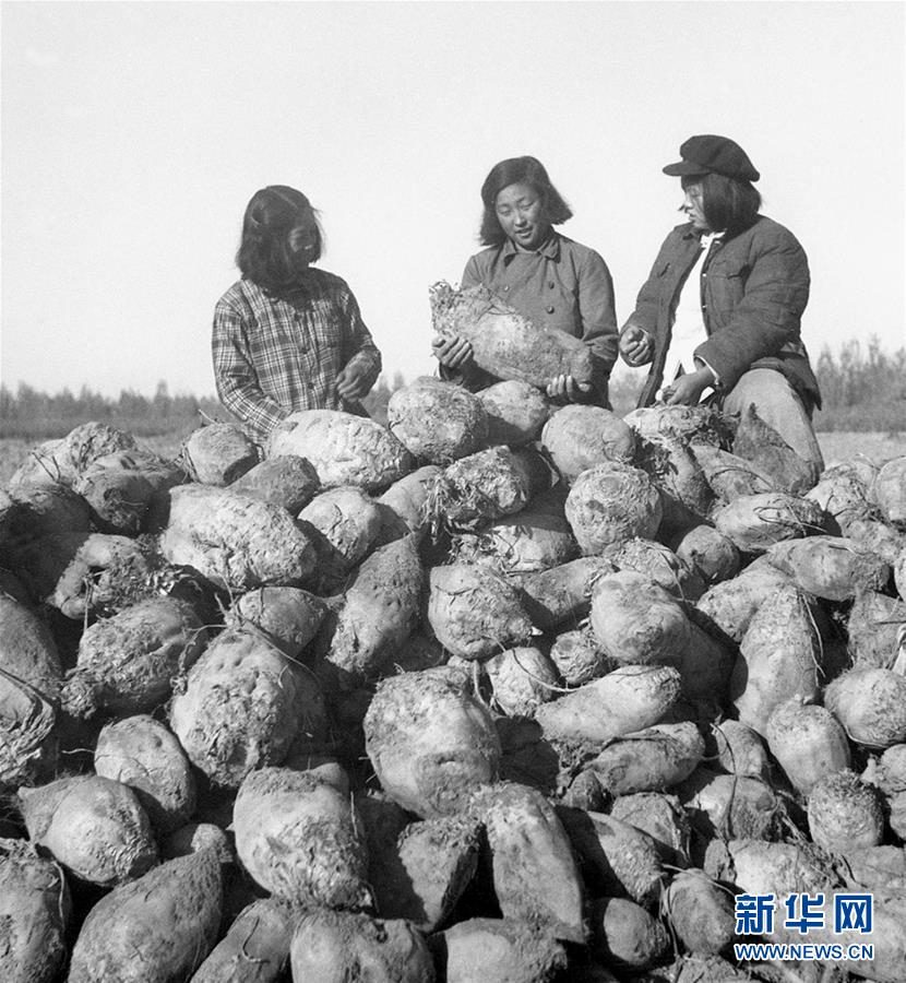 （圖文互動(dòng)）（2）為了&ldquo;中國(guó)號(hào)&rdquo;巨輪揚(yáng)帆遠(yuǎn)航&mdash;&mdash;中國(guó)共產(chǎn)黨領(lǐng)導(dǎo)下的人民軍隊(duì)忠于祖國(guó)、服務(wù)人民啟示錄