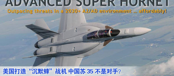 美國打造&ldquo;沉默蜂&rdquo;戰(zhàn)機 中國蘇35不是對手？