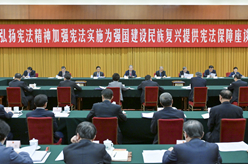 趙樂際出席&ldquo;弘揚憲法精神，加強憲法實施，為強國建設、民族復興提供憲法保障&rdquo;座談會并講話