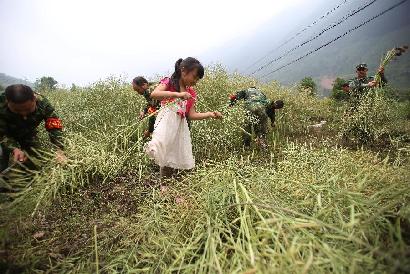 地震災區(qū)&ldquo;雙搶&rdquo;忙 軍民協(xié)力促生產(chǎn)