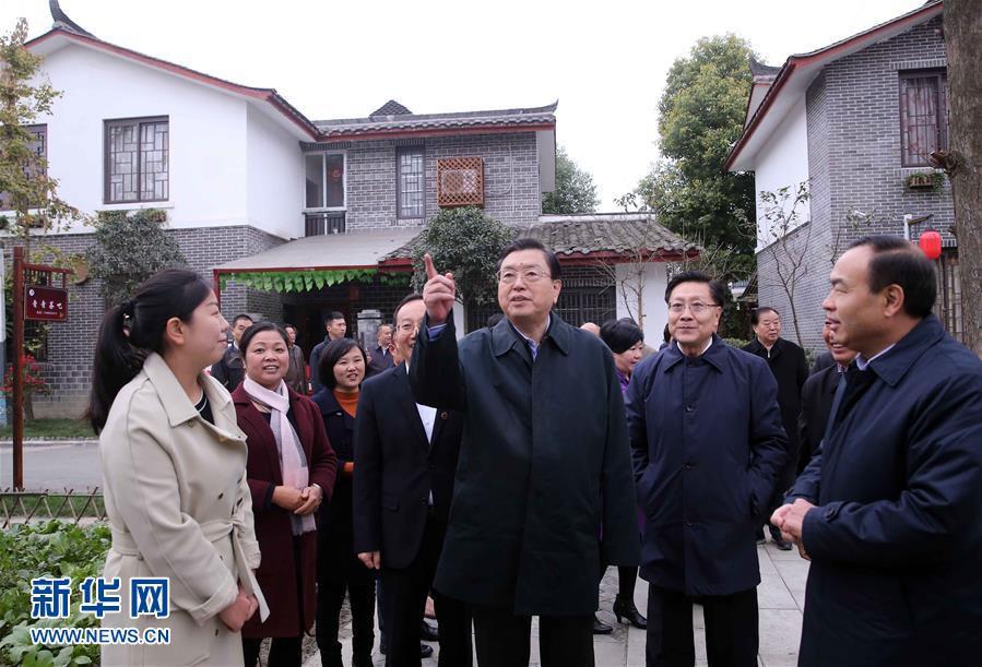 這是11月22日，張德江來到成都郫縣青杠樹村，了解村民委員會(huì)工作情況。 新華社記者 劉衛(wèi)兵 攝 