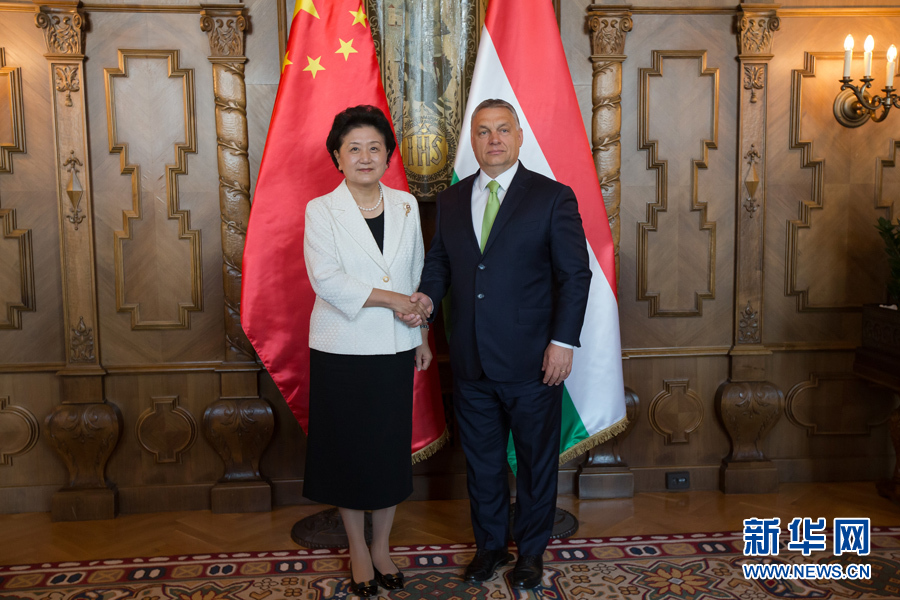  6月21日，國務(wù)院副總理劉延?xùn)|（左）在匈牙利布達佩斯國會大廈會見匈牙利總理歐爾班。 新華社發(fā)（弗爾季&middot;奧蒂洛攝）