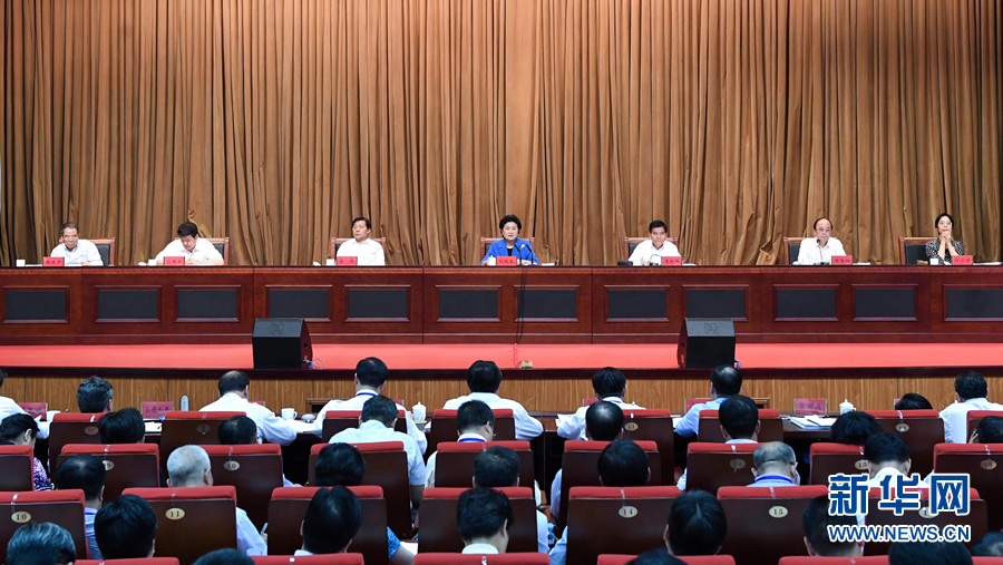 6月25日，全國民族團(tuán)結(jié)進(jìn)步創(chuàng)建經(jīng)驗(yàn)交流現(xiàn)場會(huì)在內(nèi)蒙古興安盟召開，中共中央政治局委員、國務(wù)院副總理劉延?xùn)|出席會(huì)議并講話。 新華社記者 陳曄華 攝