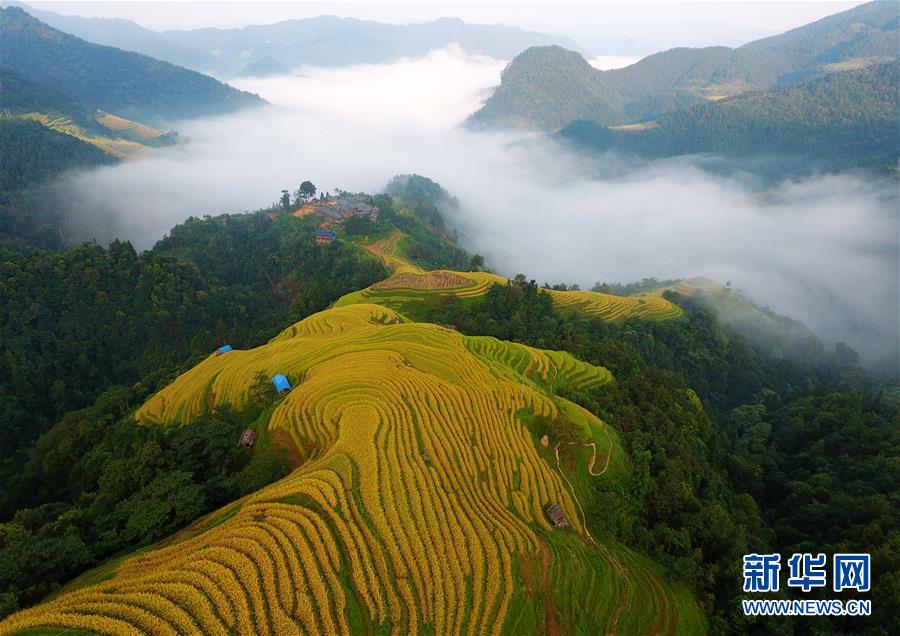 （新華全媒頭條&middot;圖文互動(dòng)）（6）從脆弱生態(tài)到滿眼皆&ldquo;綠&rdquo;&mdash;&mdash;國(guó)家生態(tài)文明試驗(yàn)區(qū)貴州的&ldquo;綠色之路&rdquo;