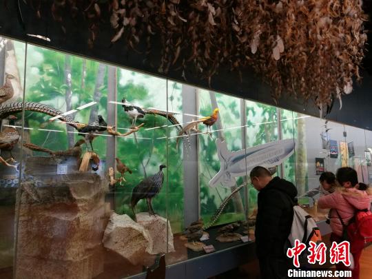 圖為展覽現(xiàn)場?！『h航 攝