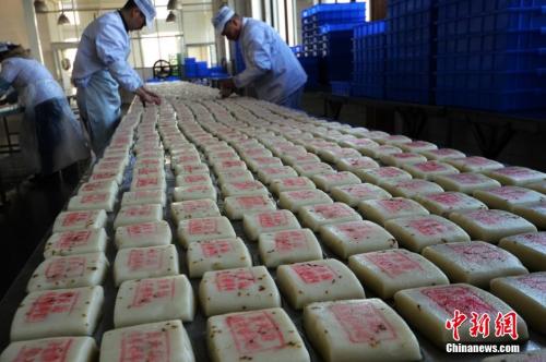 資料圖：師傅們在把制作好的桂花糖年糕擺放整齊。王思哲 攝
