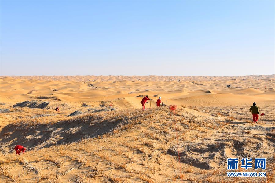 （新春走基層&middot;圖文互動）（1）走進塔克拉瑪干：探訪沙漠物探人