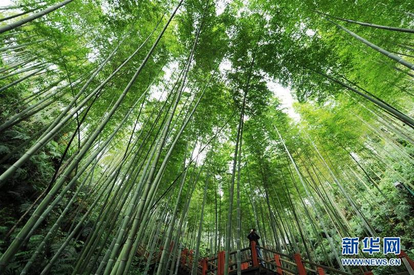 （新華全媒頭條&middot;圖文互動）（5）山鄉(xiāng)巨變&mdash;&mdash;來自貴州扶貧一線的報告