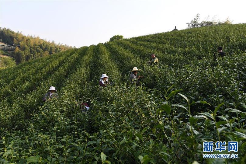 （兩會前夕看落實(shí)&middot;圖文互動）（5）綠色發(fā)展引領(lǐng) 守護(hù)&ldquo;魚米之鄉(xiāng)&rdquo;&mdash;&mdash;江蘇落實(shí)習(xí)近平總書記全國兩會重要講話精神紀(jì)實(shí)