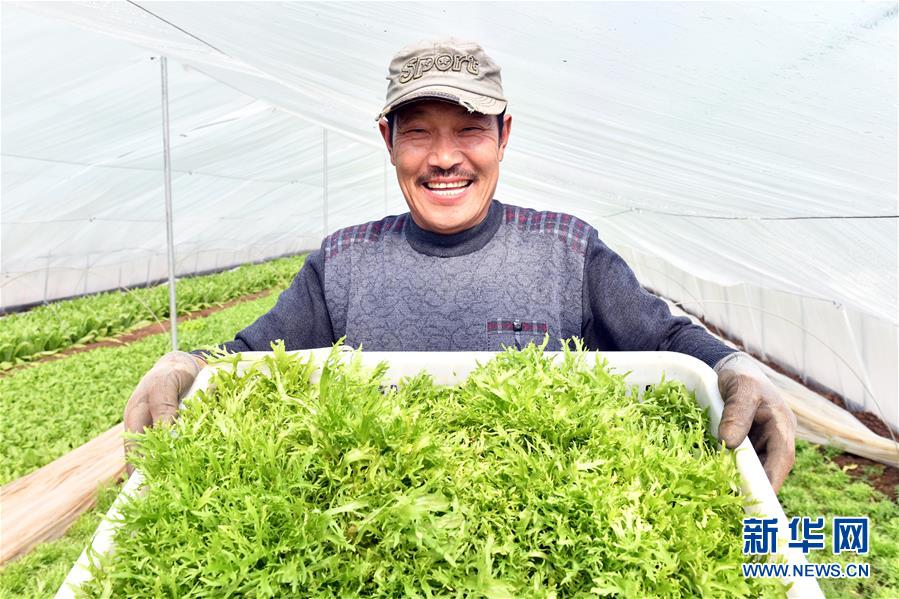 （兩會前夕看落實(shí)&middot;圖文互動(dòng)）（3）融合&ldquo;三生三美&rdquo; 打造鄉(xiāng)村振興齊魯樣板&mdash;&mdash;山東落實(shí)習(xí)近平總書記全國兩會重要講話精神紀(jì)實(shí)