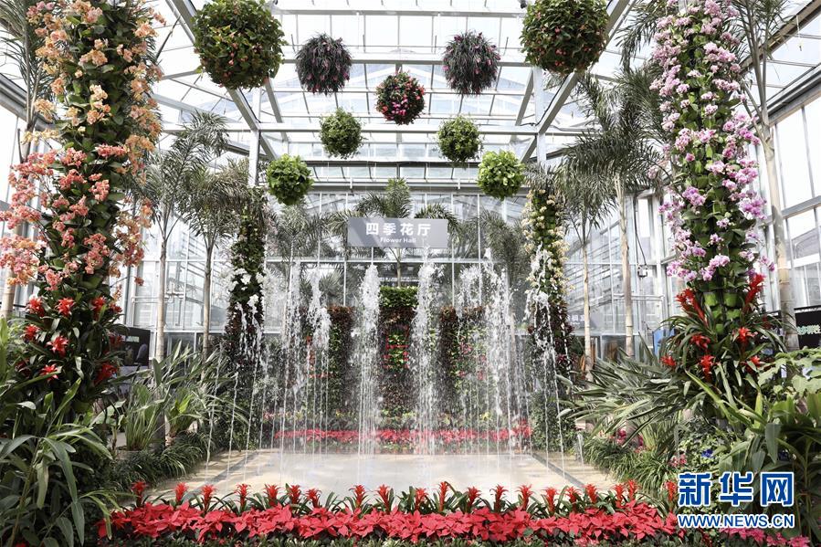 （科技）（2）北京最&ldquo;年長(zhǎng)&rdquo;植物溫室重新開放