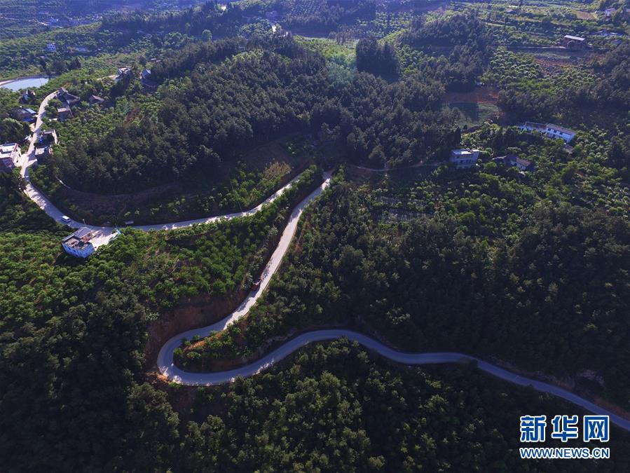 （在習(xí)近平新時(shí)代中國(guó)特色社會(huì)主義思想指引下&mdash;&mdash;新時(shí)代新作為新篇章）（13）重慶巫山：&ldquo;生態(tài)寶貝&rdquo;變身&ldquo;搖錢樹&rdquo;