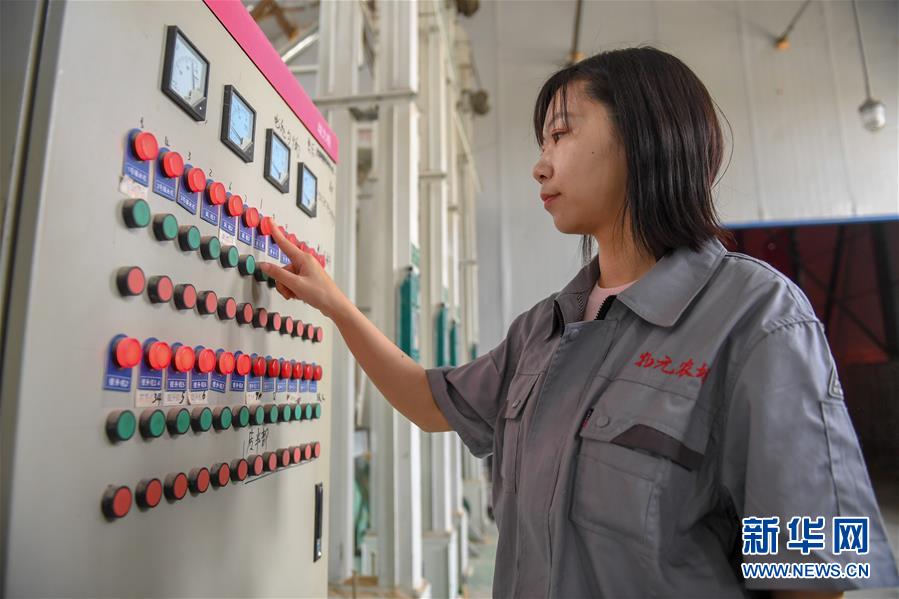 （在習近平新時代中國特色社會主義思想指引下&mdash;&mdash;新時代新作為新篇章&middot;圖文互動）（5）大學生種田讓農(nóng)民&ldquo;老把式&rdquo;開了眼&mdash;&mdash;吉林長白山下的稻田新事