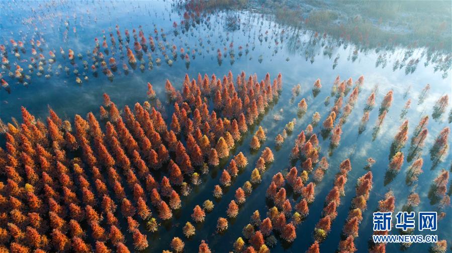 （壯麗70年&middot;奮斗新時(shí)代&mdash;&mdash;共和國(guó)發(fā)展成就巡禮）（4）云嶺彩卷繪 高原氣象新&mdash;&mdash;新中國(guó)成立70年云南發(fā)展巡禮