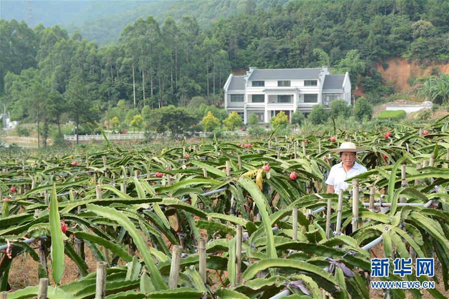 （在習近平新時代中國特色社會主義思想指引下&mdash;&mdash;新時代新作為新篇章&middot;總書記關(guān)心的百姓身邊事&middot;圖文互動）（6）大污染變身&ldquo;大寶藏&rdquo;：治理畜禽糞污，他們這樣干！