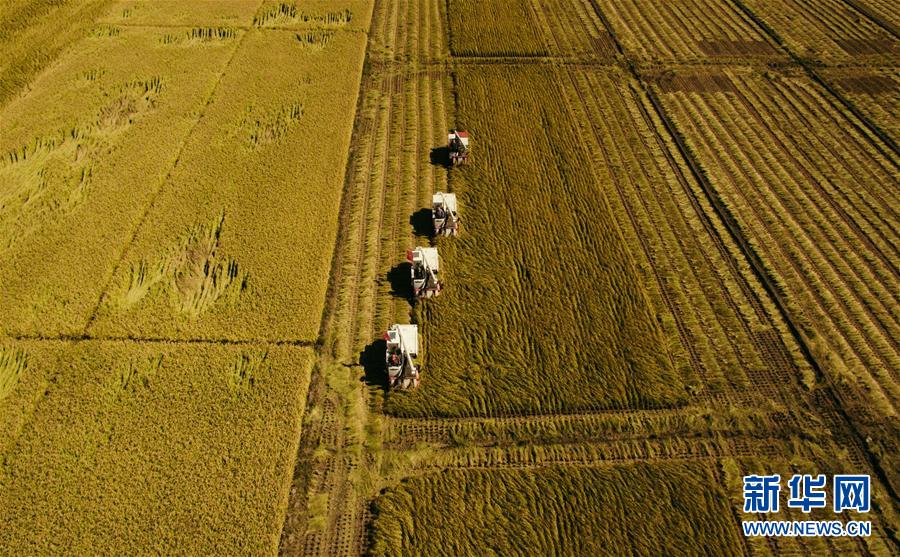 （新華全媒頭條&middot;圖文互動(dòng)）（5）紅色的傳承，藍(lán)圖的起點(diǎn)&mdash;&mdash;新中國(guó)孕育與發(fā)展的&ldquo;東北記憶&rdquo;