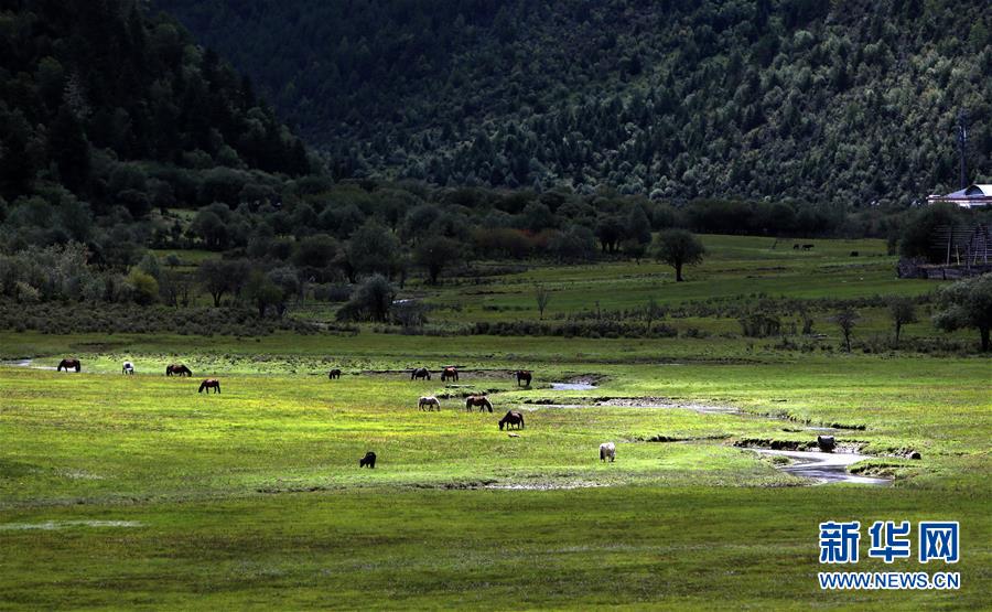 （新華全媒頭條&middot;決戰(zhàn)決勝脫貧攻堅&middot;圖文互動）（7）為了人與自然和諧共生&mdash;&mdash;云南&ldquo;三江并流&rdquo;地區(qū)決戰(zhàn)精準脫貧的&ldquo;生態(tài)畫卷&rdquo;