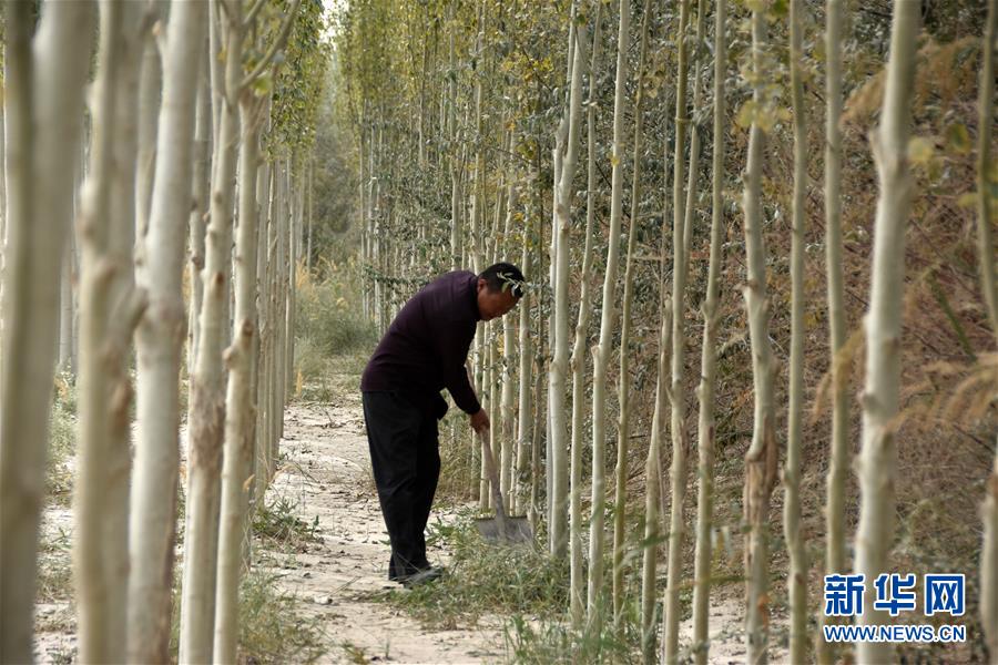 （新華全媒頭條&middot;圖文互動(dòng)）（7）大漠小城的絕地反擊