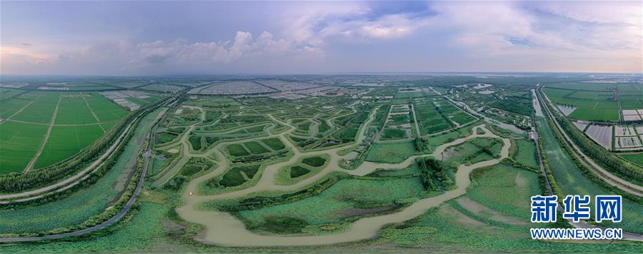 （新華全媒頭條&middot;圖文互動）（11）大湖見證&mdash;&mdash;長三角三大淡水湖綠色發(fā)展之路