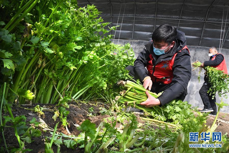 （在習(xí)近平新時代中國特色社會主義思想指引下&mdash;&mdash;新時代新作為新篇章&middot;習(xí)近平總書記關(guān)切事&middot;圖文互動）（1）&ldquo;菜籃子&rdquo;里的力量&mdash;&mdash;全國各地努力做好保障和改善民生工作在行動