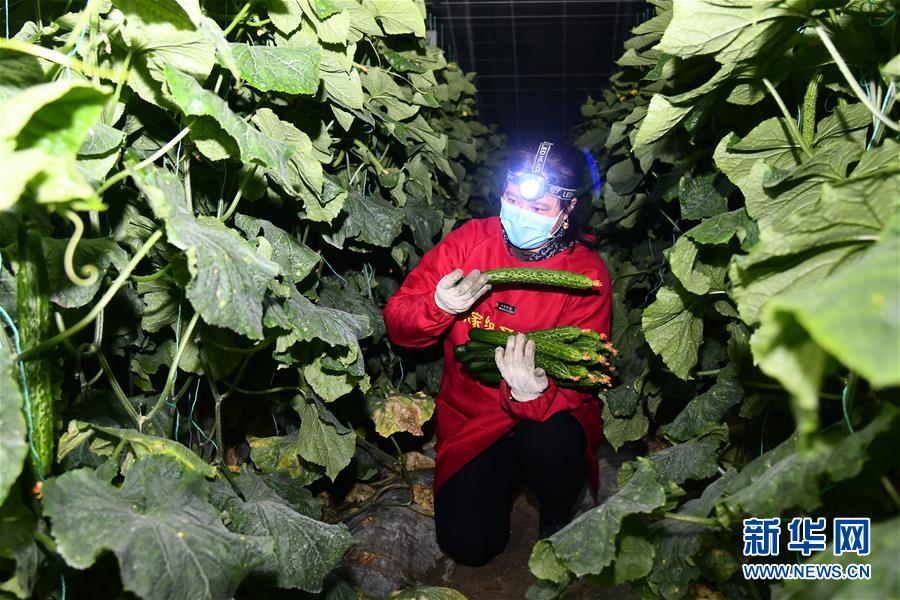 （在習(xí)近平新時代中國特色社會主義思想指引下&mdash;&mdash;新時代新作為新篇章&middot;習(xí)近平總書記關(guān)切事&middot;圖文互動）（3）&ldquo;菜籃子&rdquo;里的力量&mdash;&mdash;全國各地努力做好保障和改善民生工作在行動