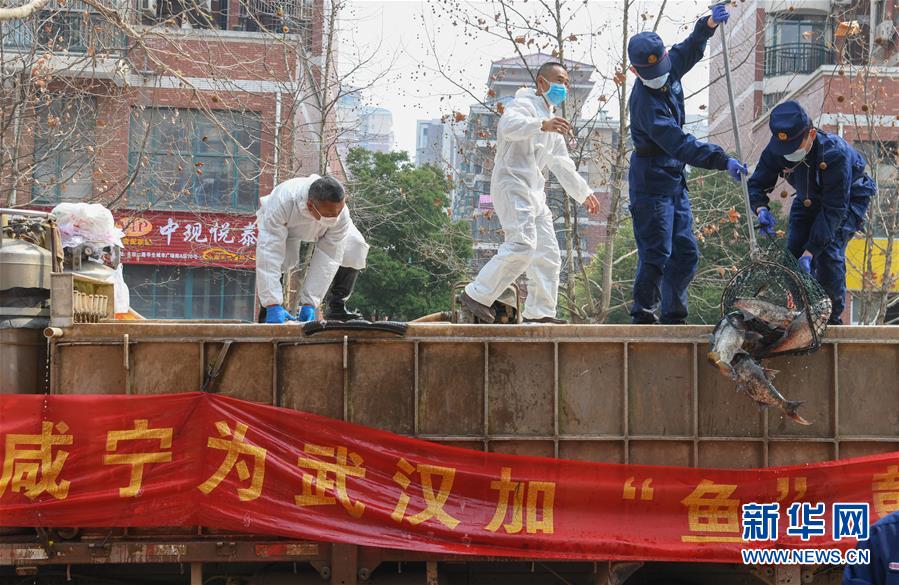 （新華全媒頭條&middot;圖文互動）（12）從人民中汲取磅礴力量&mdash;&mdash;習(xí)近平總書記同出席2020年全國兩會人大代表、政協(xié)委員共商國是紀(jì)實