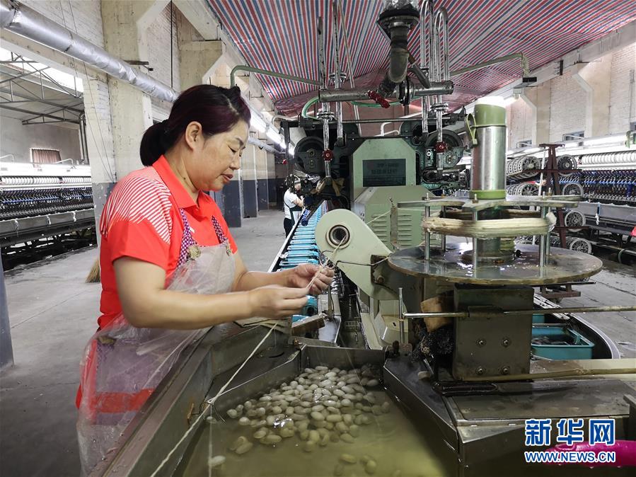 （決戰(zhàn)決勝脫貧攻堅(jiān)&middot;圖文互動(dòng)）（2）桑蠶養(yǎng)殖助力太行山區(qū)農(nóng)戶增收