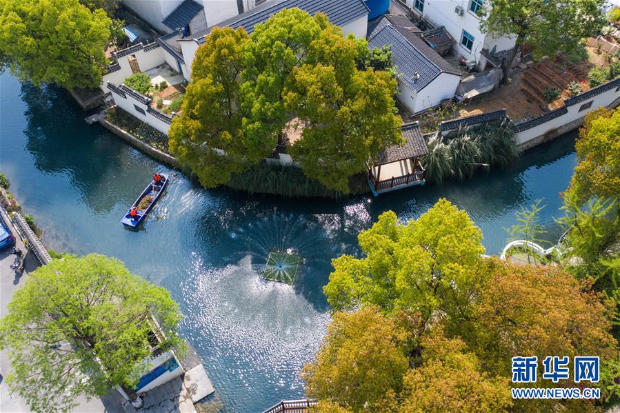 （新華全媒頭條&middot;圖文互動）（6）從&ldquo;藍(lán)圖規(guī)劃&rdquo;到美麗&ldquo;現(xiàn)實(shí)畫卷&rdquo;&mdash;&mdash;長三角一體化高質(zhì)量發(fā)展一年間