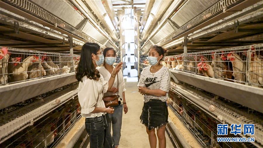 （新華全媒頭條&middot;圖文互動）（4）基層天地廣闊 青春大有作為&mdash;&mdash;聚焦&ldquo;三支一扶&rdquo;計(jì)劃實(shí)施十五年
