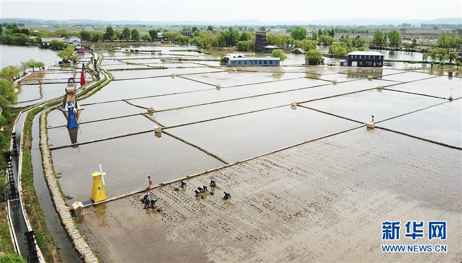 （在習(xí)近平新時代中國特色社會主義思想指引下&mdash;&mdash;新時代新作為新篇章&middot;習(xí)近平總書記關(guān)切事&middot;圖文互動）（1）讓每一寸耕地都成為豐收的沃土&mdash;&mdash;我國加強(qiáng)耕地保護(hù)推進(jìn)&ldquo;藏糧于地&rdquo;