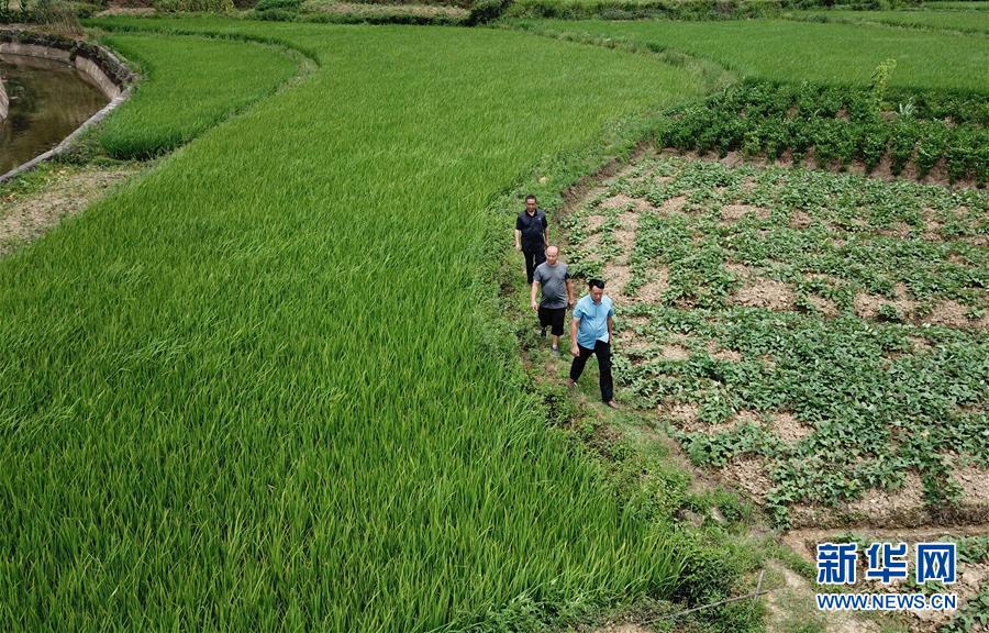 （圖文互動）（6）湘南深山，堅守扶貧一線的黨員之家