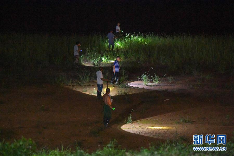 （防汛抗洪&middot;圖文互動）（1）&ldquo;三湖&rdquo;超警汛情急 干群奮力保家園